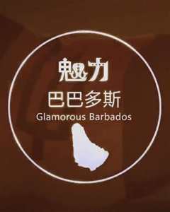《魅力巴巴多斯》