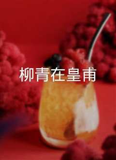 《柳青在皇甫》