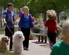 妙狗牵手圣诞节