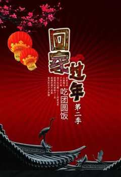 《回家过年 第二季