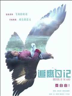 追鹰日记 普通话版