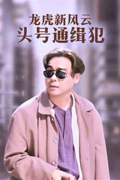 龙虎新风云 粤语版