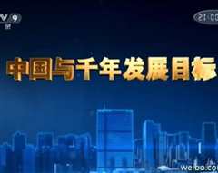 中国与千年发展目标》