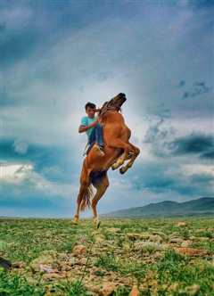 少年与马》