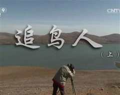 追鸟人》