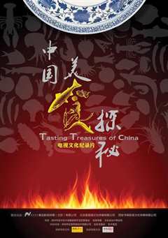 中国美食探秘》
