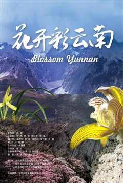 花开彩云南》