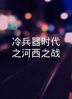 冷兵器时代之河西之战》