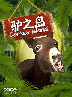 驴之岛