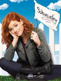 《郊区故事第三季》