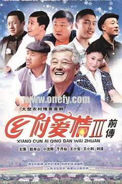 乡村爱情故事/乡村爱情3