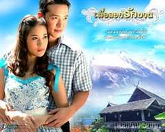 爱情花开的时候