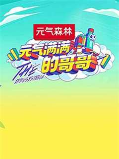 元气满满的哥哥会员Plus版