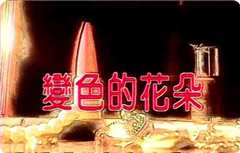 变色的花朵
