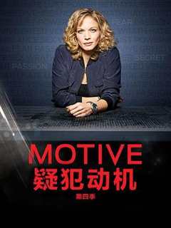 作案动机 第4季