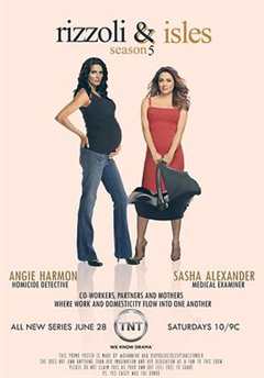 妙女神探 第5季