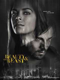 侠胆雄狮 第4季