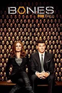 识骨寻踪 第9季