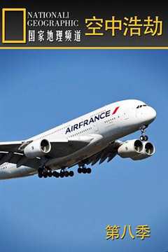 空中浩劫 第8季