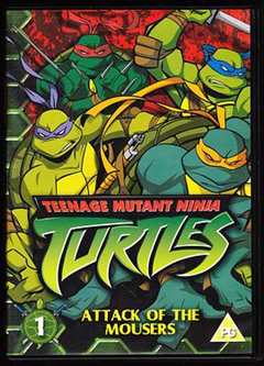 忍者神龟 第5季