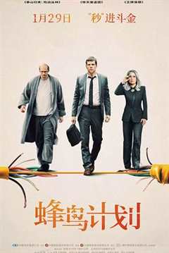 蜂鸟计划（原声）