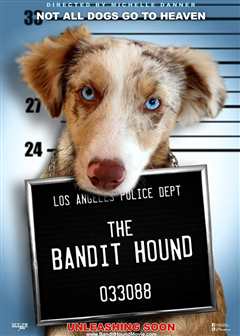 猎犬强盗（普通话）