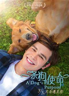 一条狗的使命（普通话）