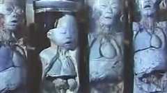 黑太阳731续集之杀人工厂