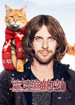 流浪猫鲍勃（原声）