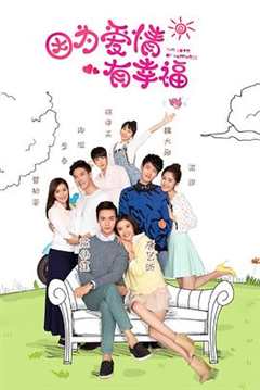 因为爱情有幸福（DVD版）