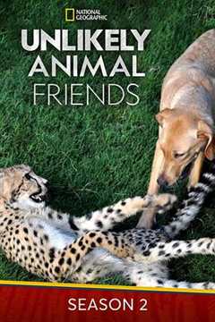 不可思议的好朋友 第2季