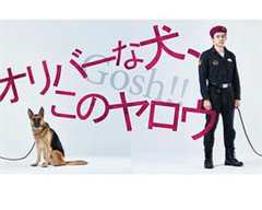 奥莉佛是狗，天哪!这家伙