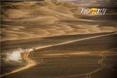 沙漠狂野（原声）