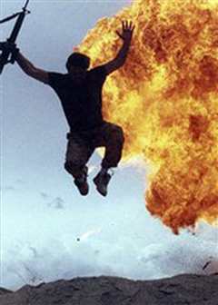 蚂蚁的袭击（原声）