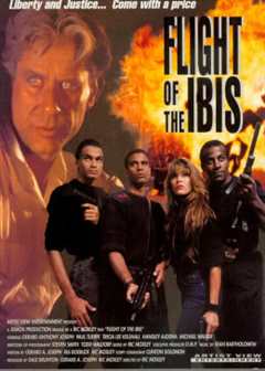 无敌雄鹰（普通话）