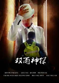 双面神探（普通话）