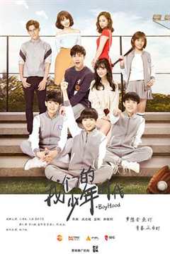 我们的少年时代（DVD版）