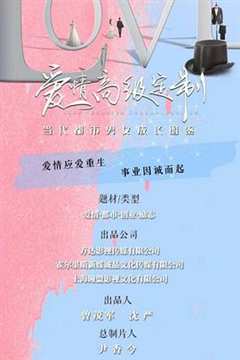 爱情高级定制（DVD版）