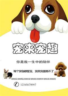 宠物论坛 第1季 Pet Talk Season 1