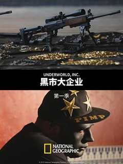 黑市大企业第1季