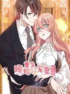 重生暖婚轻宠妻 第3季