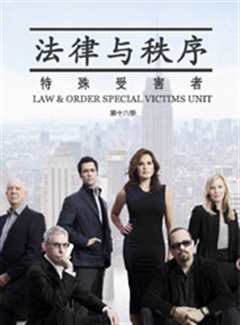 法律与秩序特殊受害者第16季