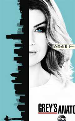 实习医生格蕾第13季