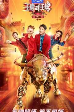 王牌对王牌第6季会员版