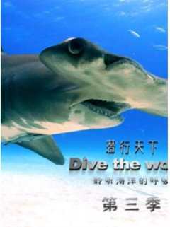 潜行天下第3季