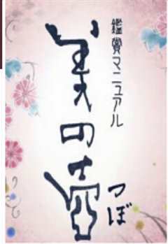 《美之壶.红型》