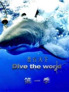 潜行天下第1季