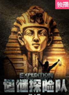 追谜探险队第4季