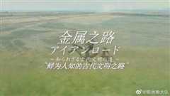 金属之路 鲜为人知的古代文明之路