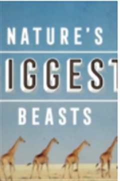 大自然巨无霸粤语